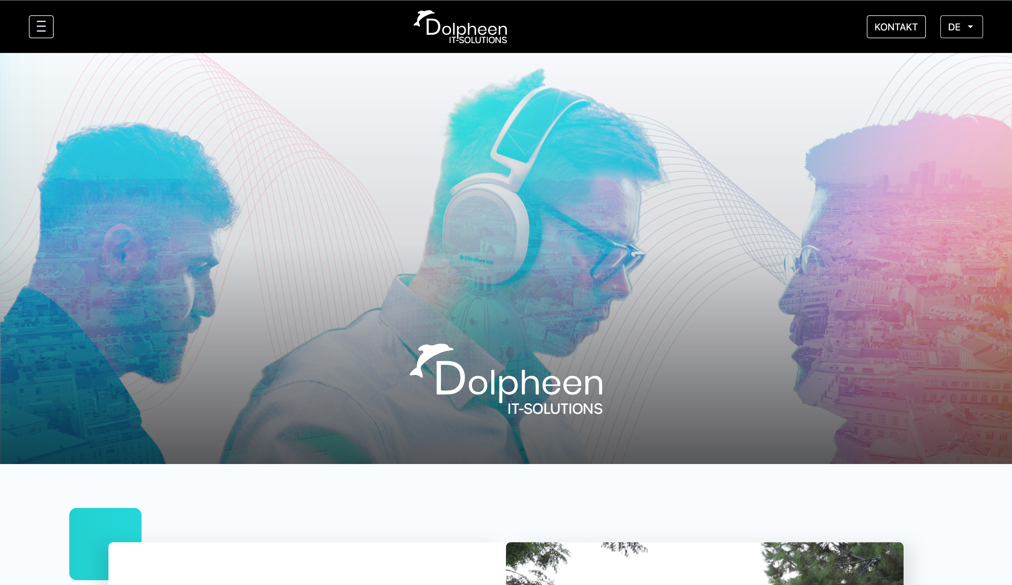 Dolpheen IT - Homepage